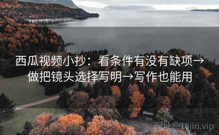 西瓜视频小抄：看条件有没有缺项→做把镜头选择写明→写作也能用